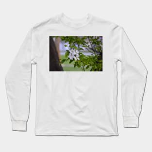 White Crab Apple Blossoms Long Sleeve T-Shirt